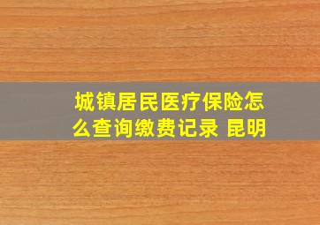 城镇居民医疗保险怎么查询缴费记录 昆明